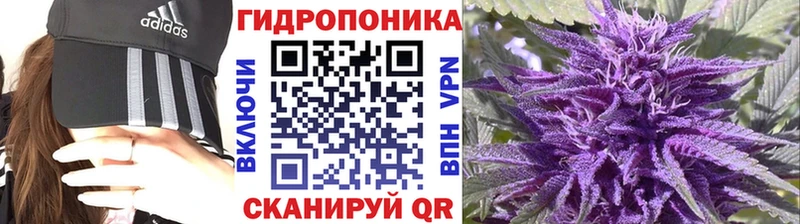 Шишки марихуана сатива  закладка  Соль-Илецк 